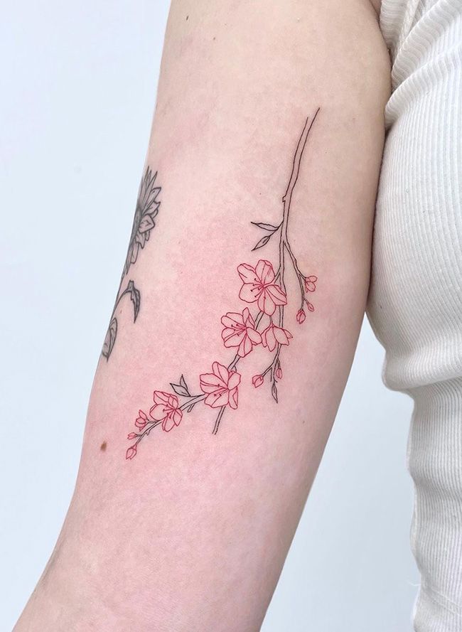 100 Elegant Cherry Blossom Tattoos Most Unique Gallery The Trend