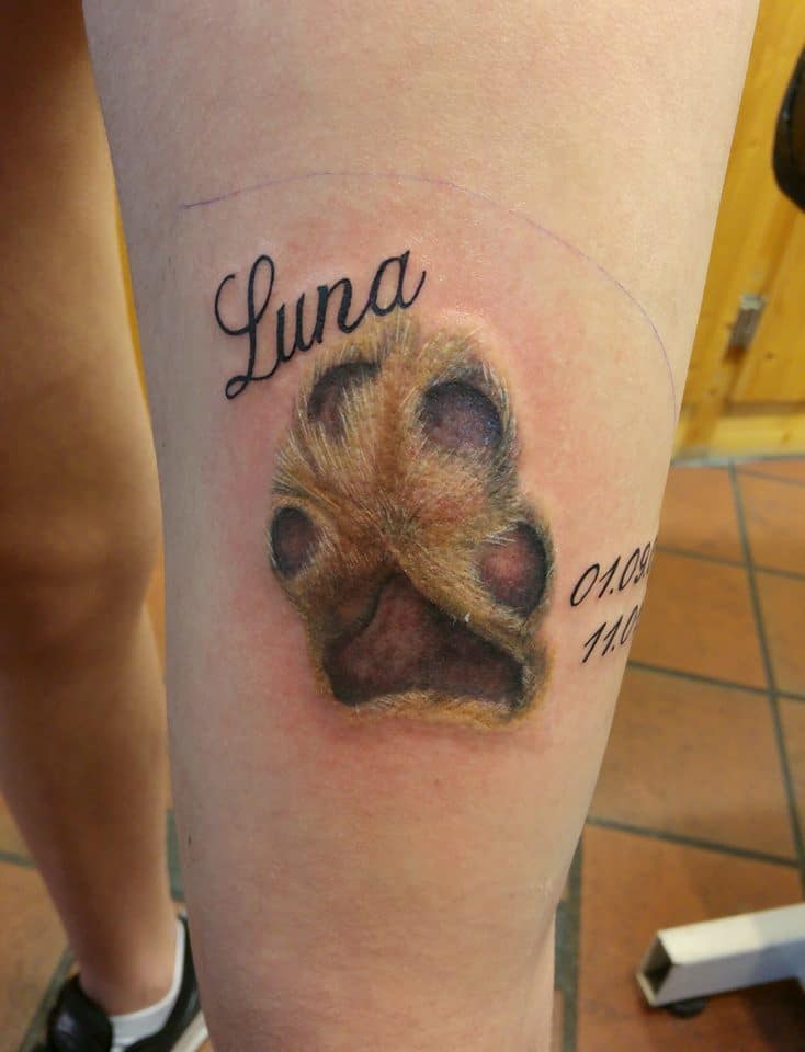100 Heartwarming Dog Memorial Tattoos And Ideas To Honor Your Dog 100 Heartwarming Dog Memorial Tattoos And Ideas To Honor Your Dog