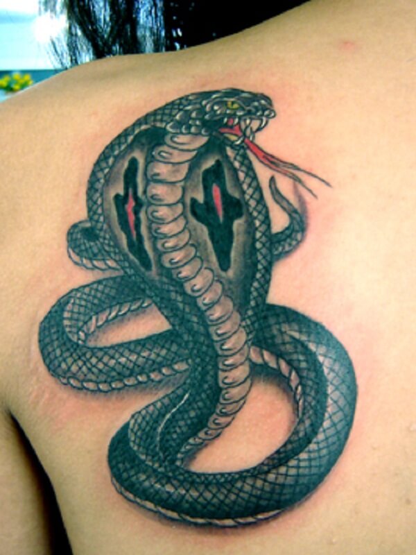 20 Neo Traditional Snake Tattoo Designs Petpress Cobra Tattoo King
