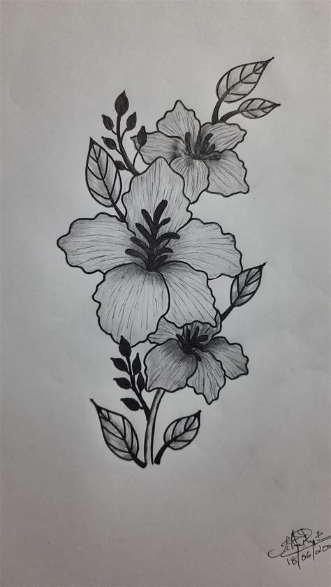 25 Beautiful Flower Drawing Information Amp Ideas Brighter Craft Beautiful Flower Drawings