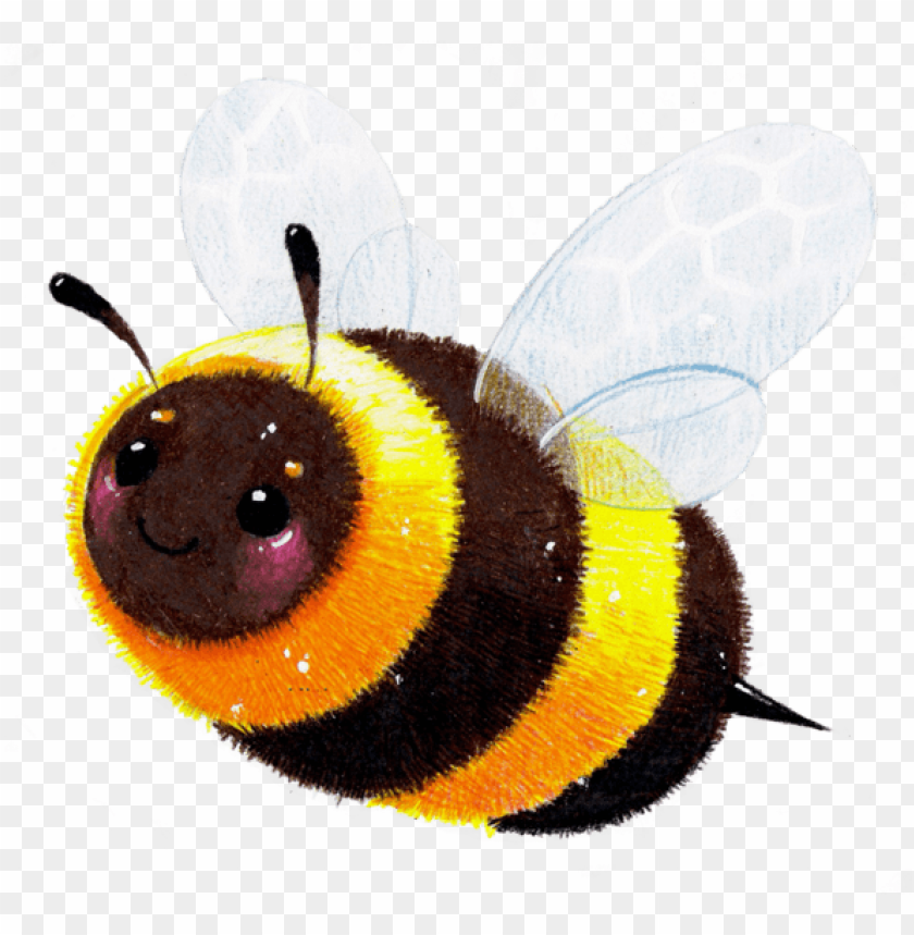 3 Cute Yellow Bees Cute Bees Yellow Bees Honeybee Png Transparent 3 Cute Yellow Bees Cute Bees Yellow Bees Honeybee Png Transparent