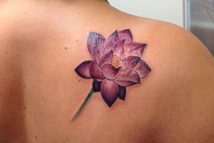 30 Lotus Flower Tattoos Design Ideas For Men And Women Flower Tattoos