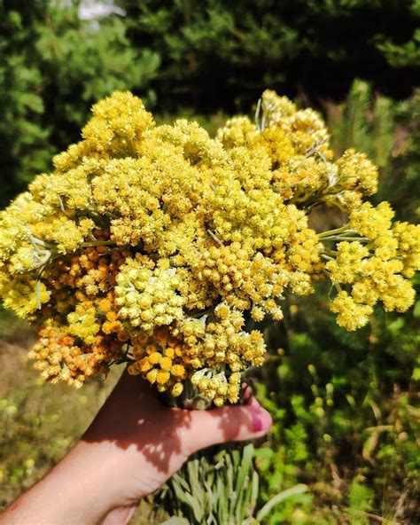 Unlocking the Secrets of 4244 5398 3440 2898 11641