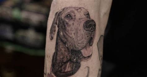 48 Best Great Dane Tattoos Images Tattoos Dog Tattoos Dog Memorial 48 Best Great Dane Tattoos Images Tattoos Dog Tattoos Dog Memorial