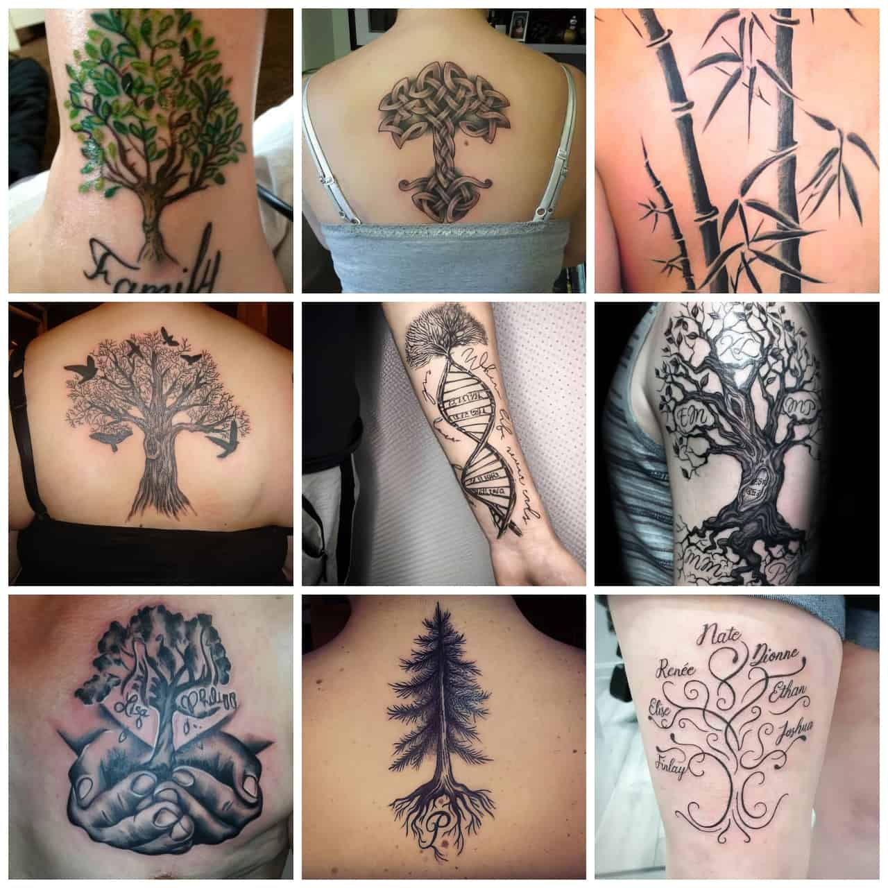 76 Delightful Family Tree Tattoo Ideas For Male And Female