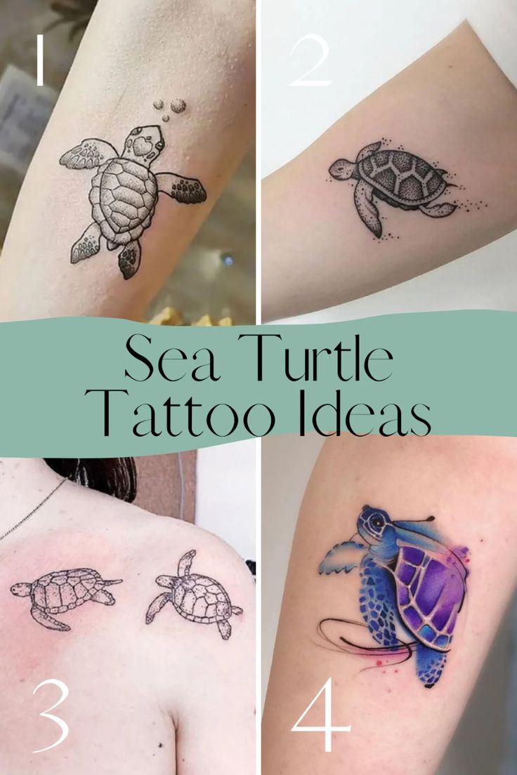 97 Sea Turtle Tattoo Designs Hawaiian Flowers Tattoo Glee 97 Sea Turtle Tattoo Designs Hawaiian Flowers Tattoo Glee