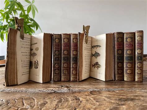 Abbé Pluche Quotes: Wisdom & Insights from the Enlightenment Era