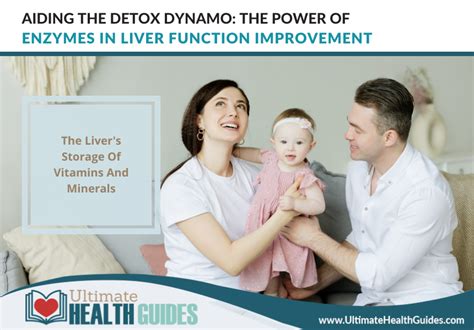 Aiding The Detox Dynamo The Power Of Enzymes In Liver Function