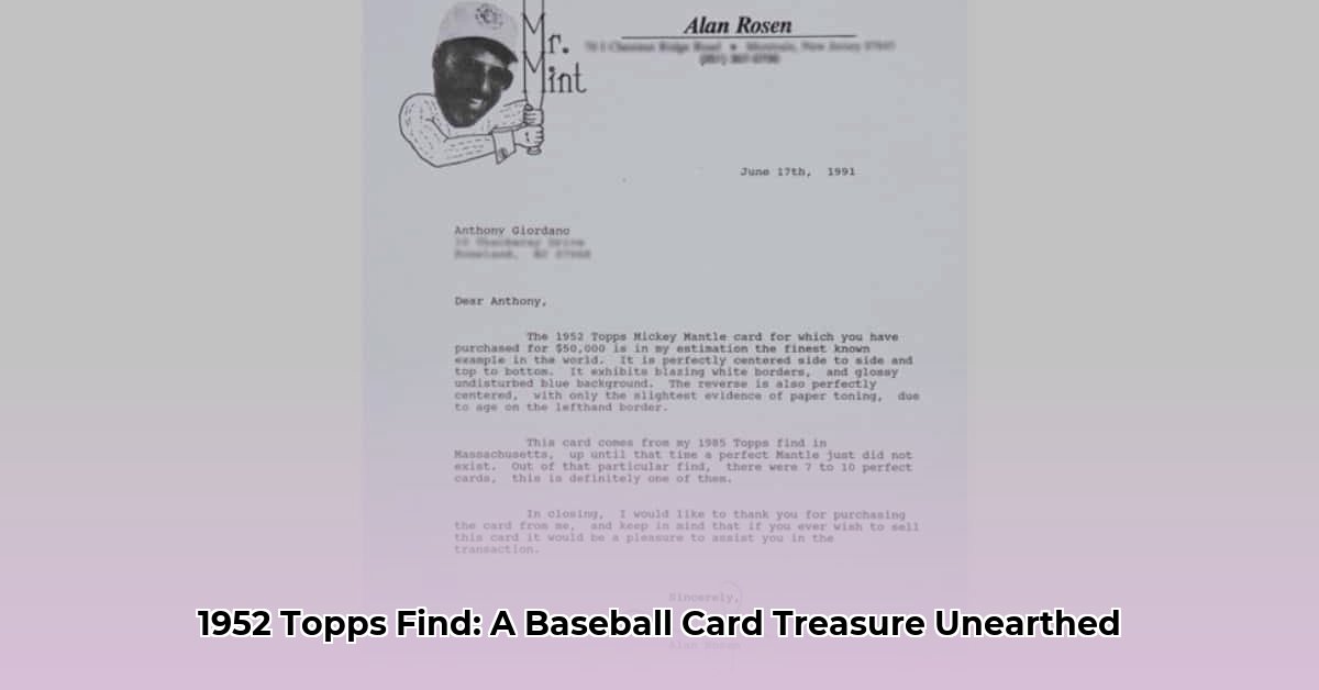 Alan Rossey: Life & Legacy (1952-1991)