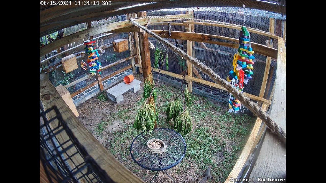 Alexia Vo Utica: Rising Star's Journey