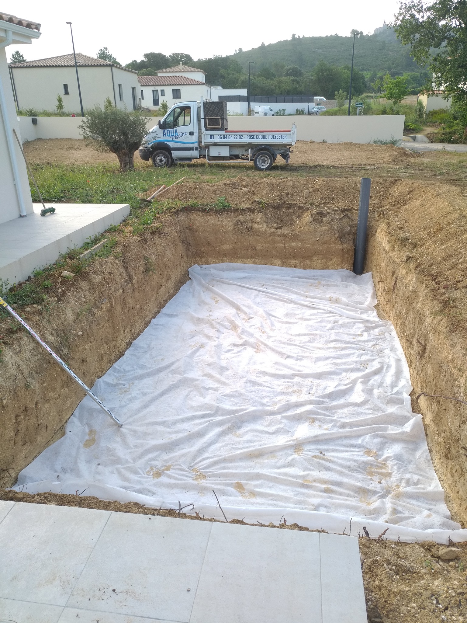 Amphide D Finition Et Explications