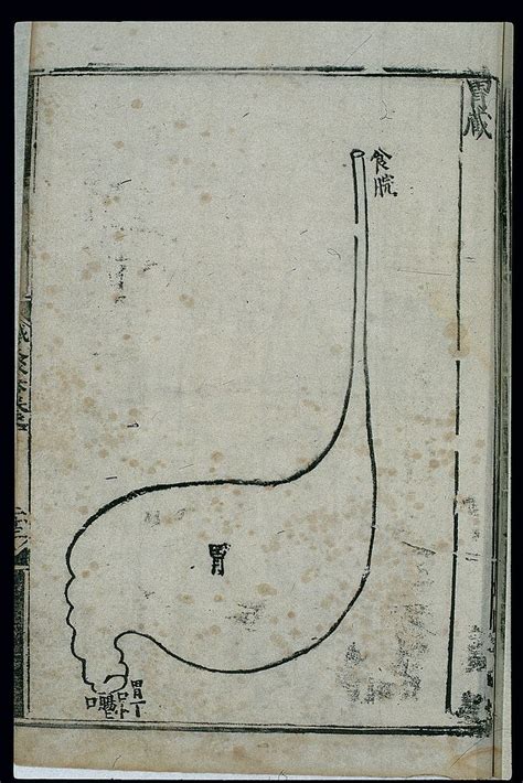 Anatomy Of The Stomach In Ancient Chinese Medicine Woodcut Free Public