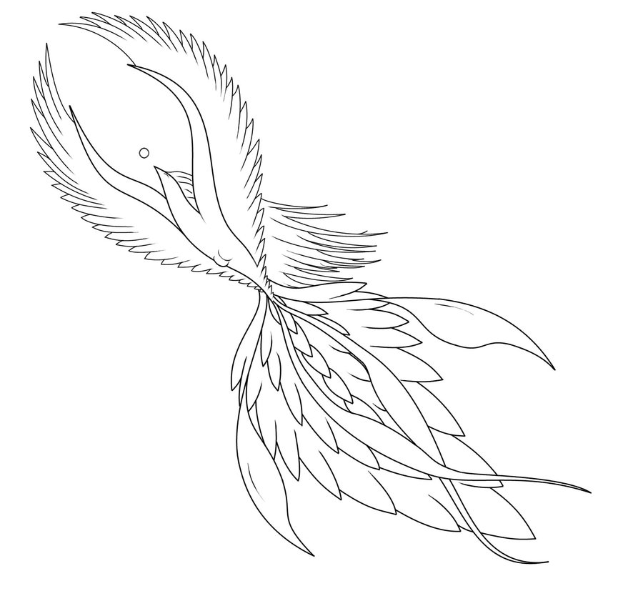 Anchor Tattoos Designs Bird Of Paradise Tattoos Designs For Girl Anchor Tattoos Designs Bird Of Paradise Tattoos Designs For Girl