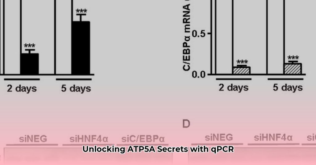 ATP5A qPCR Primer Design Guide for Accurate Gene Expression Analysis