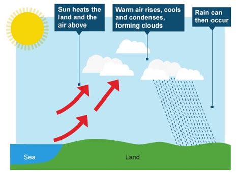 Bbc Ks3 Bitesize Geography Weather And Climate Revision Page 8
