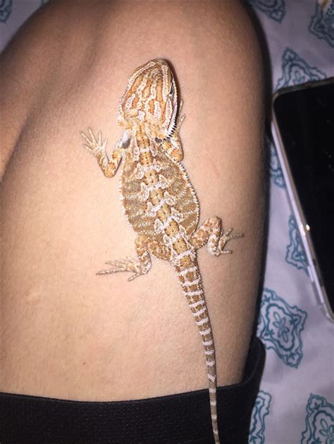 Bearded Dragon Tattoo Ideas in Boonton NJ