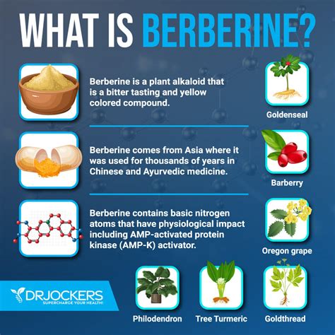 Berberine