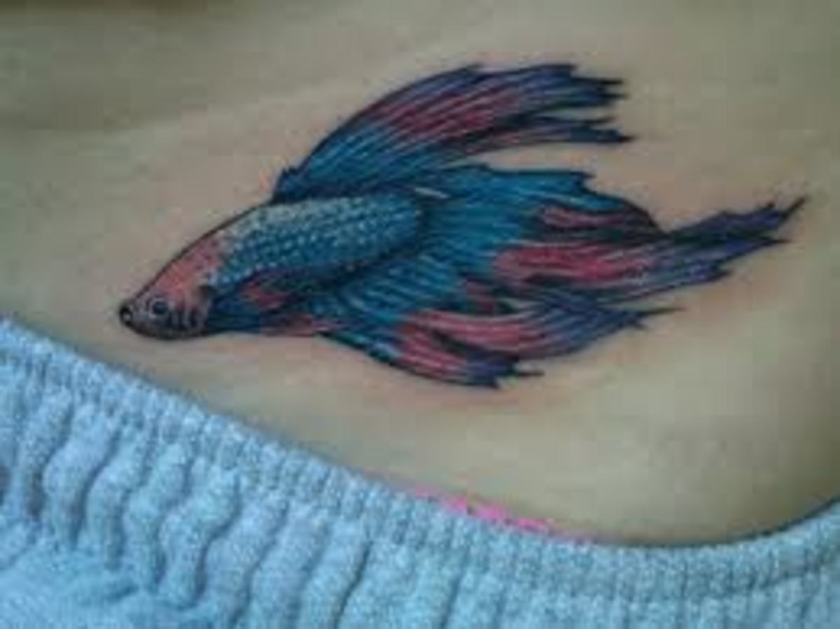 Beta Fish Tattoos And Designs Beta Fish Tattoo Meanings And Ideas Beta Fish Tattoos And Designs Beta Fish Tattoo Meanings And Ideas