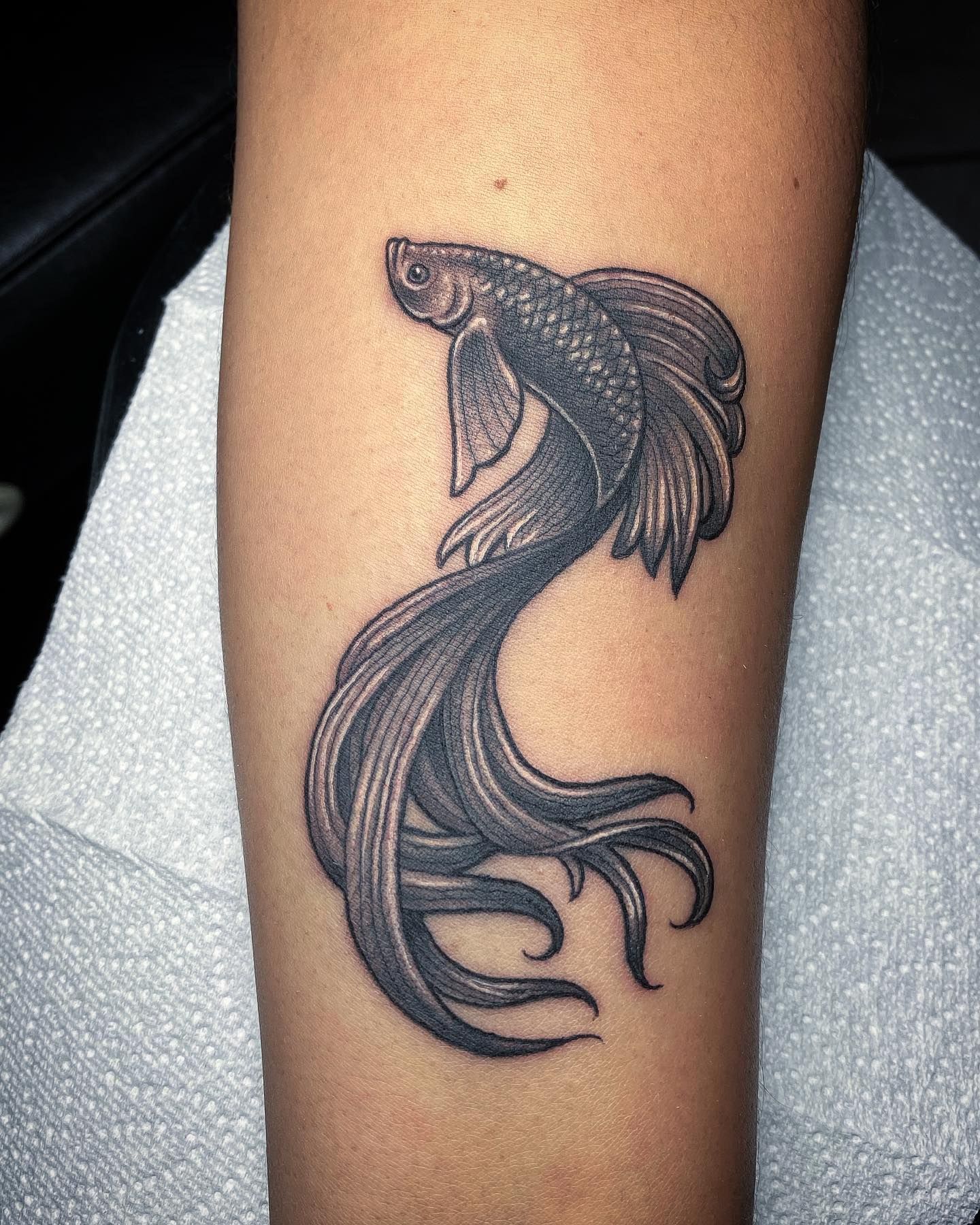 Betta Fish Tattoo Designs Betta Fish Tattoo Designs