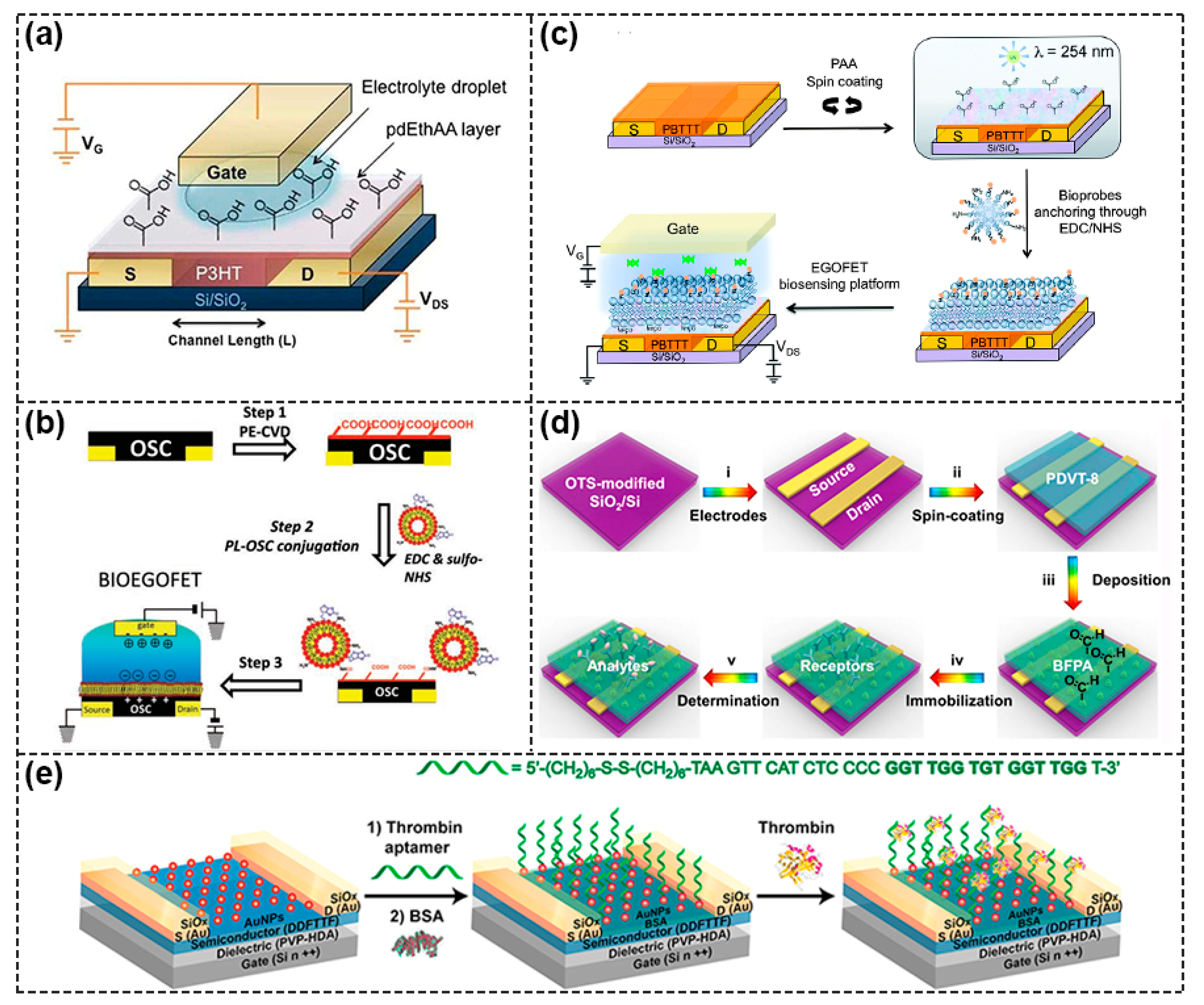 Biosensors Free Full Text Recent Advances In Dielectrophoretic