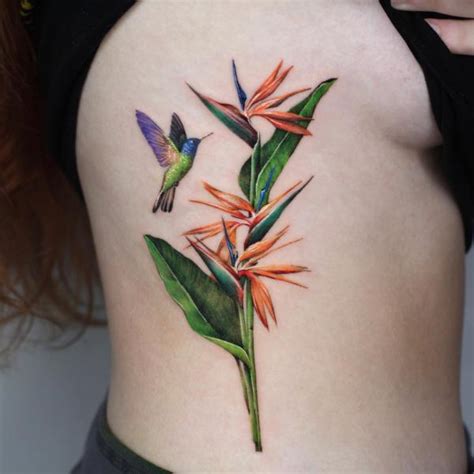 Bird Of Paradise Tattoo Embodying Exotic Beauty And Freedom Art And Bird Of Paradise Tattoo Embodying Exotic Beauty And Freedom Art And