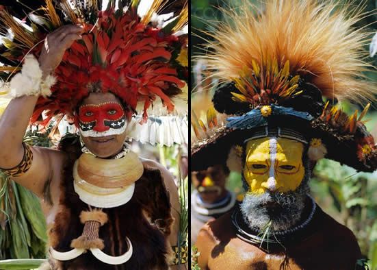 Bird Of Paradise Tattoos What Do They Mean Bird Of Paradise Tattoos Bird Of Paradise Tattoos What Do They Mean Bird Of Paradise Tattoos