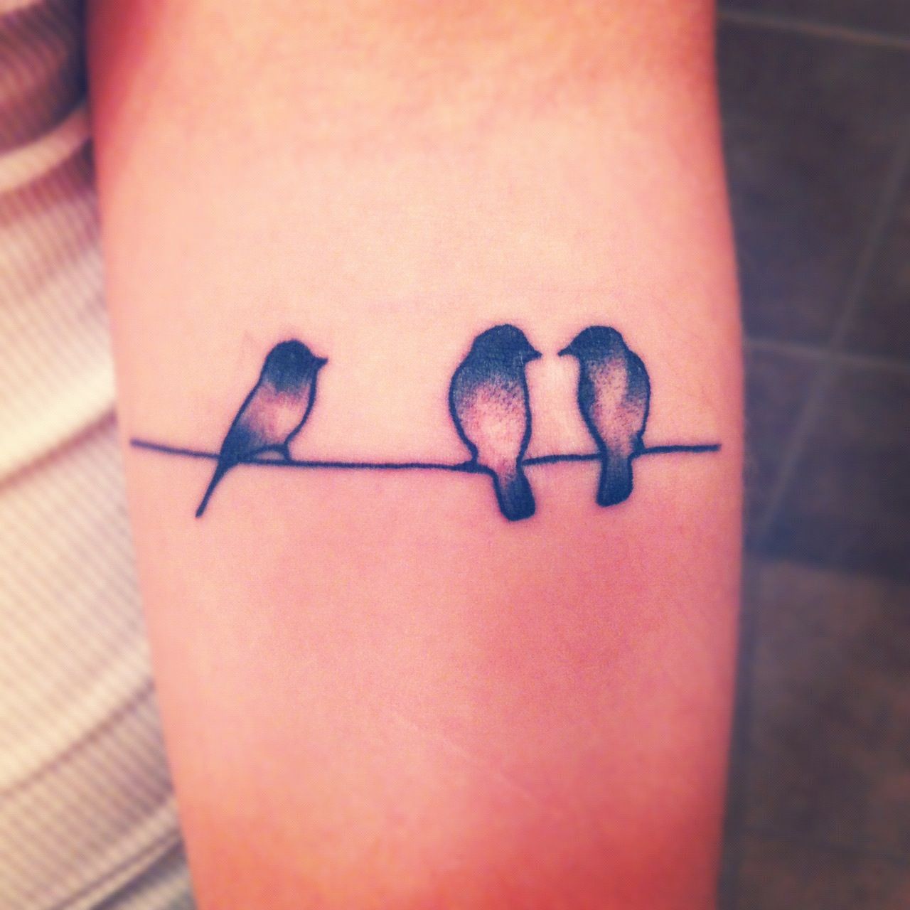 Bird Tattoos 3 Birds Tattoo 3 Little Birds Tattoo Tattoo Three