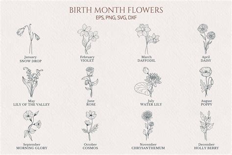Birth Flower Drawings