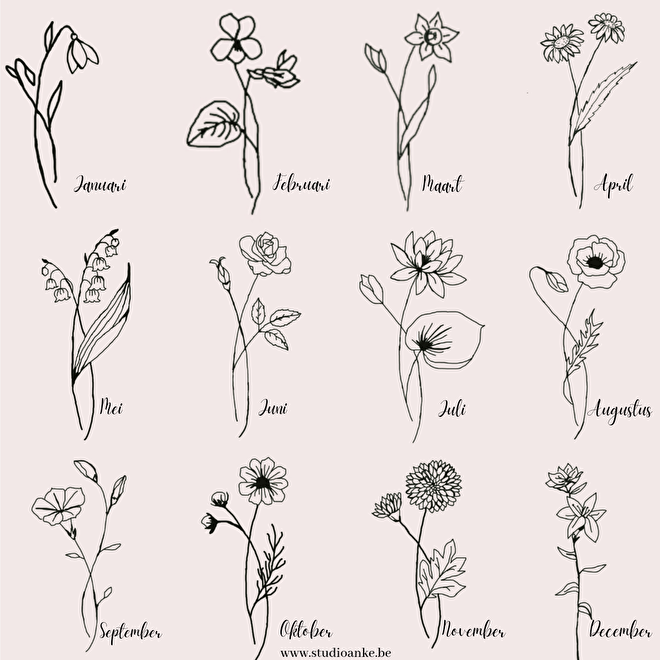 Birthmonth Flower Svg Birth Month Flower Tattoo Birthday Flower