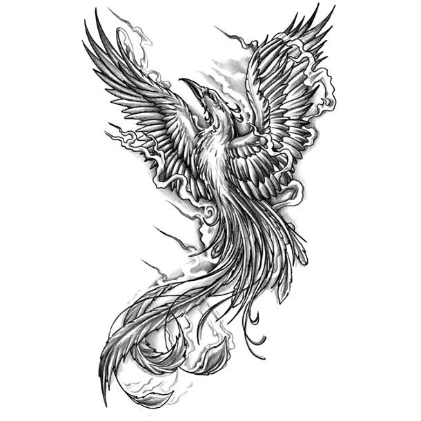 Black And White Phoenix Tattoo With Floral Design Black And White Phoenix Tattoo With Floral Design