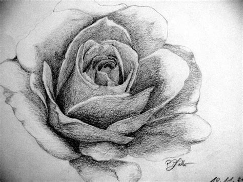 Black White Rose By Keema87 On Deviantart Unique Finds Pinterest