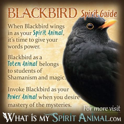 Unlocking the Mysteries of Blackbird Symbolism Across Cultures