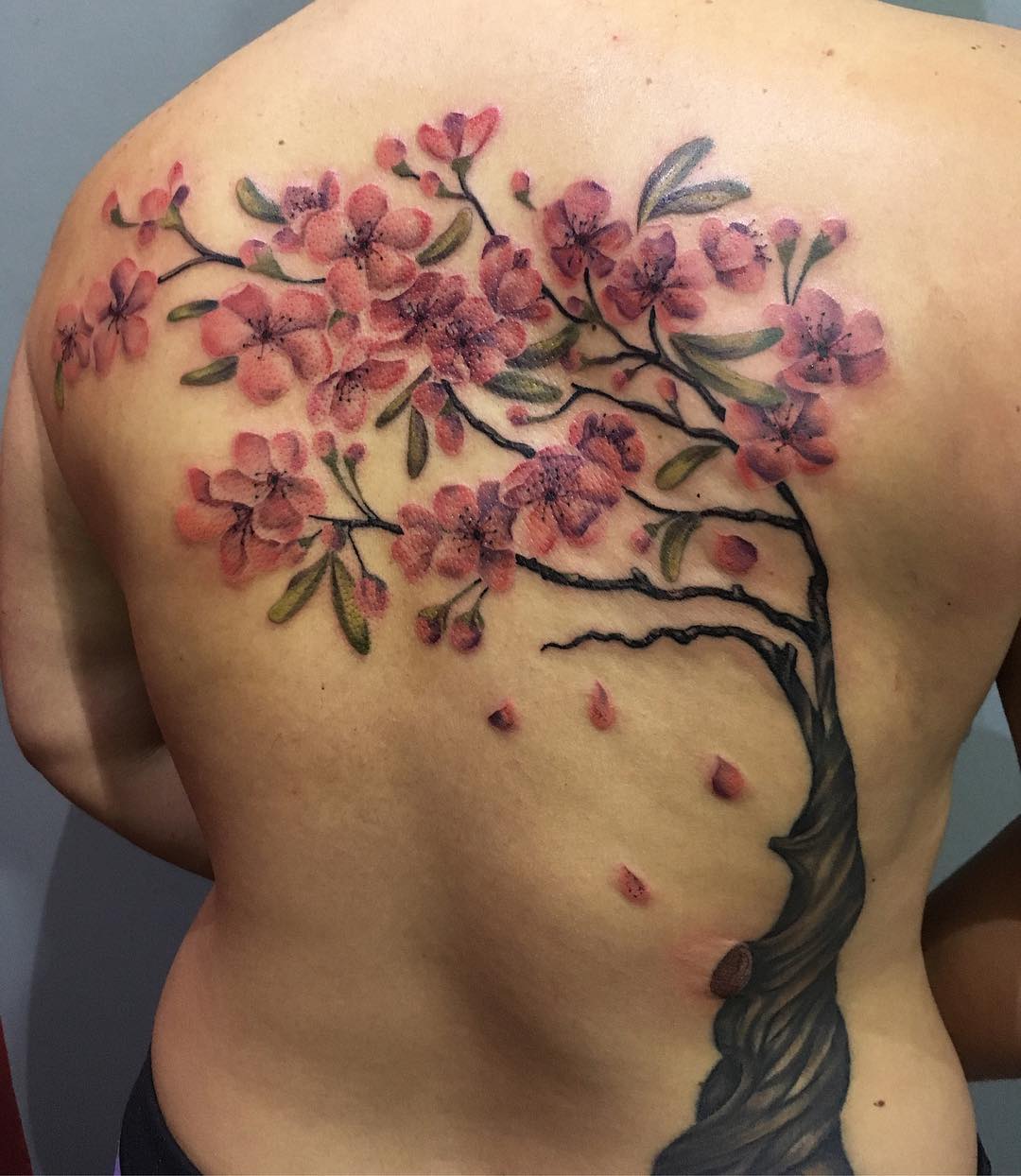 Blossoms Blossom Tattoo Pink Flower Tattoos Cherry Blossom Tattoo