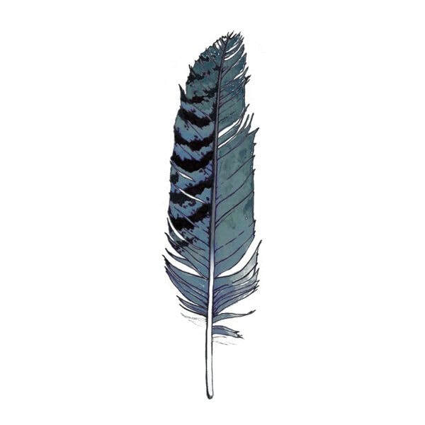 Blue Jay Feather Tattoo: Symbolism & Design Ideas