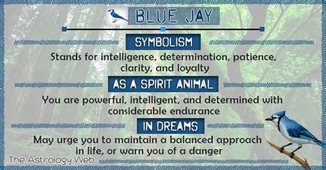 Blue Jay Symbolism Spiritual Meanings Of Seeing Blue Jays Artofit