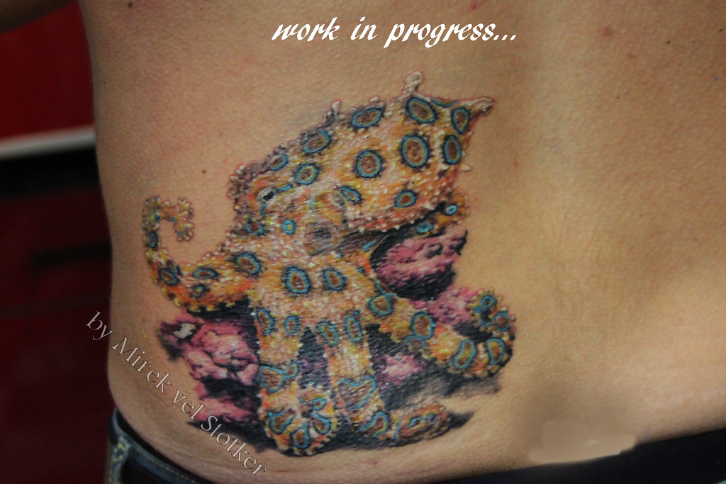 Blue Ringed Octopus Tattoo By Phil Robertson Tattoonow