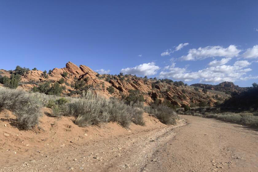 British Parliament Votes To Wrest Control Of Government From