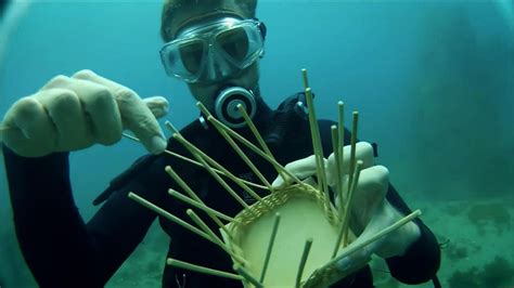 Cameron Smith's Olympic Underwater Basket Weaving Journey