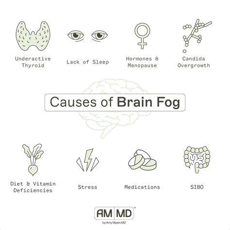 Causes Of Brain Fog How To Get Rid Of It Amy Myers Md
