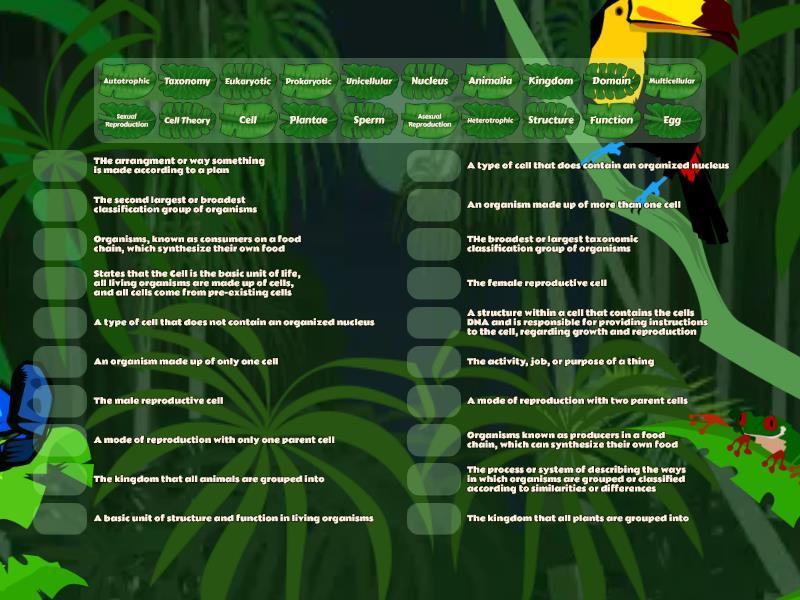 Cell Theory Vocabulary Words Cell Theory Vocabulary Words