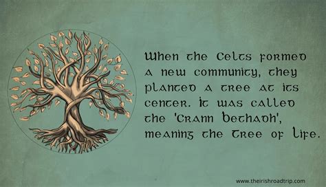 Celtic Tree Of Life Meaning