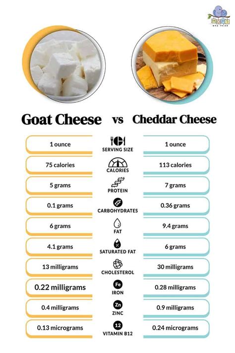 Cheese Triumphs: Why It’s Better Than You Think