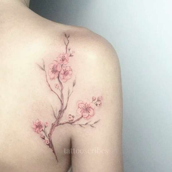 Cherry Blossom Tattoo Meaning Symbolism Photos