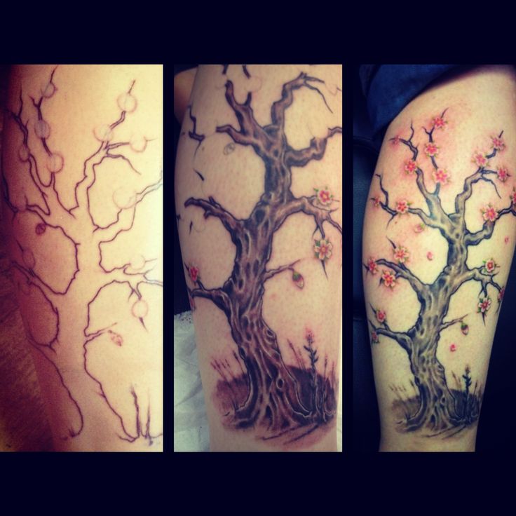 Cherry Blossom Tree Leg Tattoo