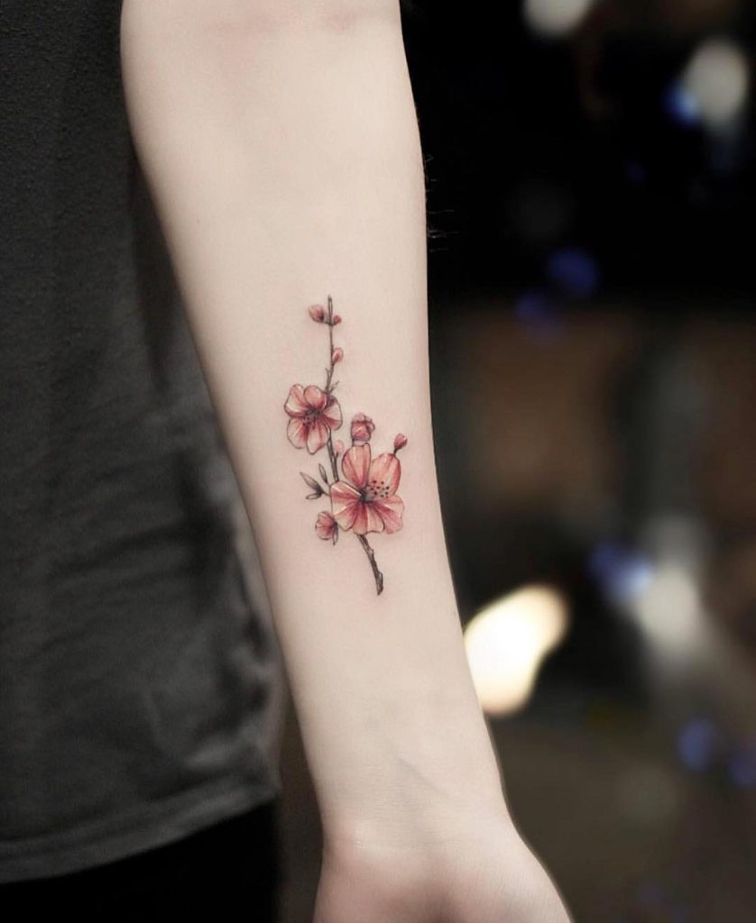 Cherry Blossoms Traditional Tattoo Flowers Flower Tattoo Designs