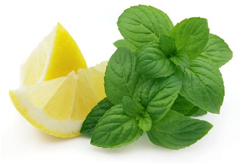 Citrus Mint Sweet Control: Refreshing Flavor Balance Tips