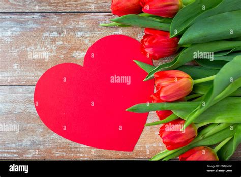 Close Up Of Red Tulips And Paper Heart Shape Card Stock Photo Image
