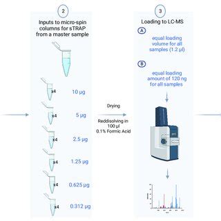 Comparative Proteomics Analysis Of In Gel Digestion And Strap Protocol Comparative Proteomics Analysis Of In Gel Digestion And Strap Protocol
