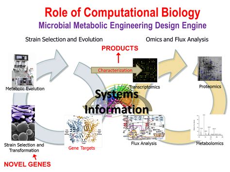 Exploring Computational Biology Subfields in Cancer Research