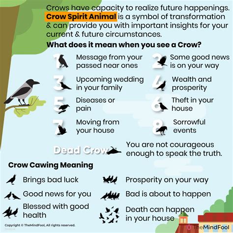 Crow Symbolism Spiritual Meanings Across Native American Cultures